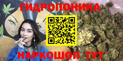 гашик Гусь-Хрустальный
