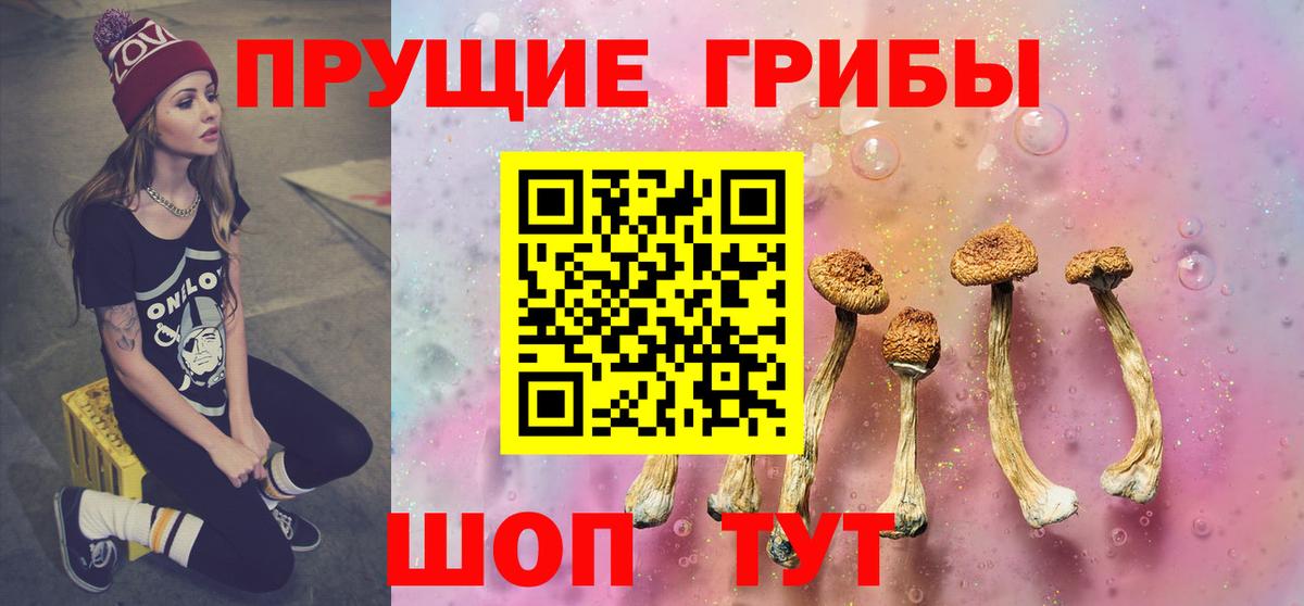 Мурино  Псилоцибиновые грибы мухоморы  Вход с VPN 